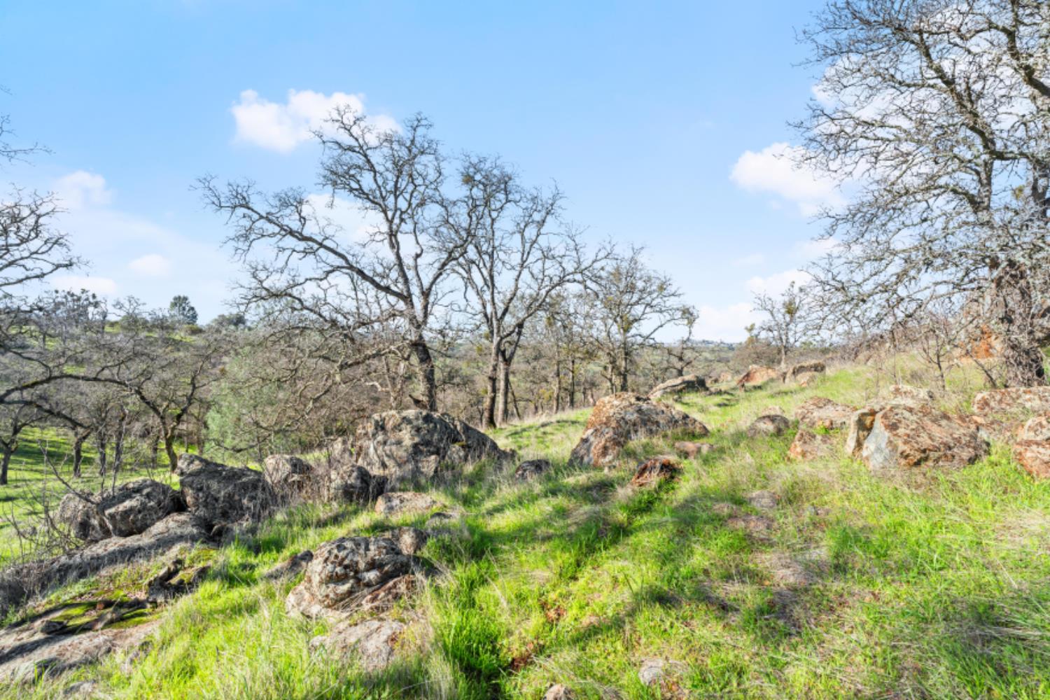 8251 Buffalo Ridge Road Ione, CA 95640 - Photo 62 of 75 a view of a yard covered with snow