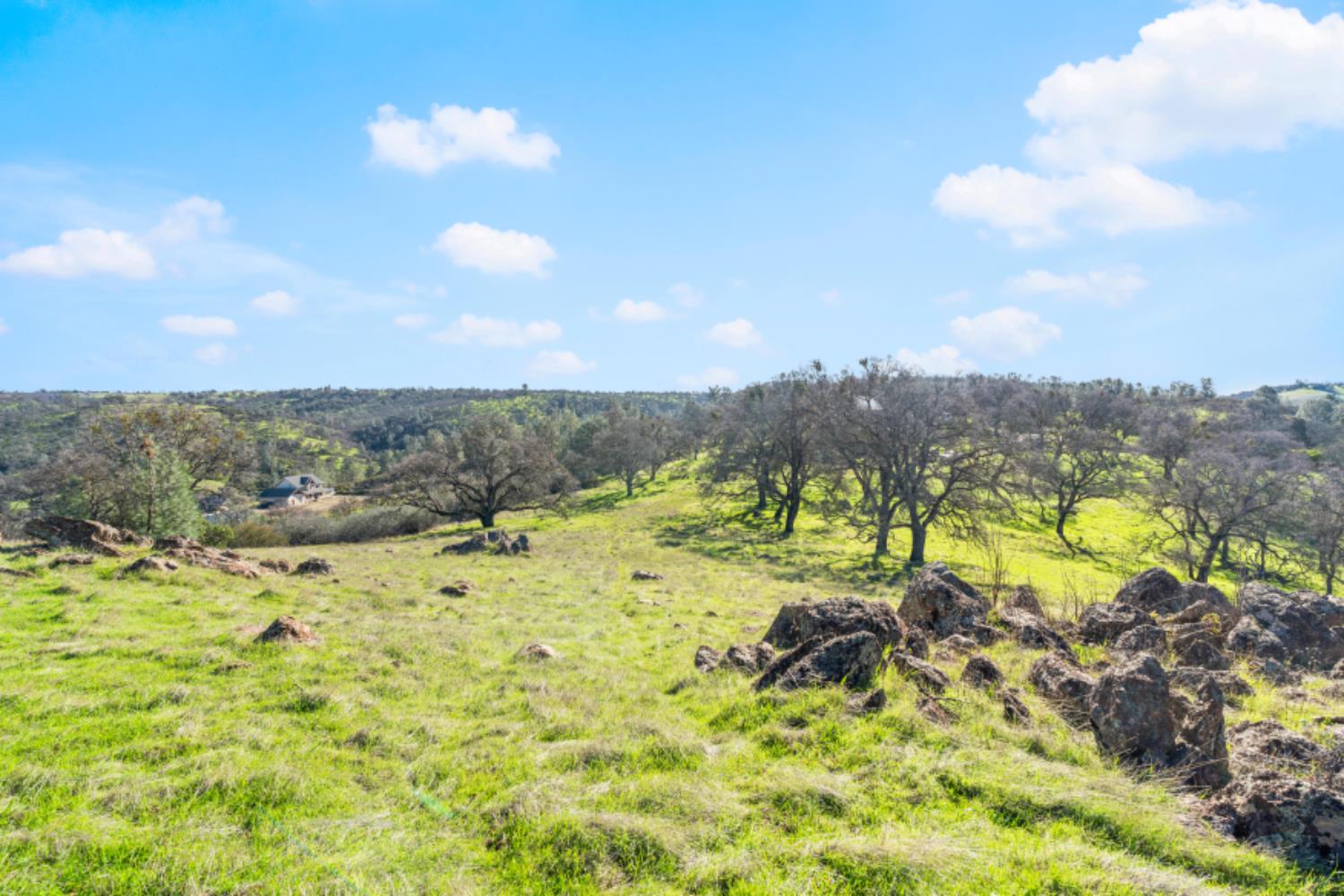 8251 Buffalo Ridge Road Ione, CA 95640 - Photo 63 of 75