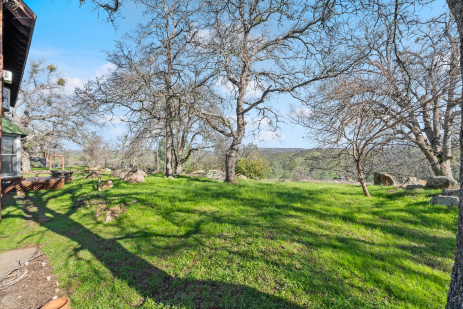 8251 Buffalo Ridge Road Ione, CA 95640 - Photo 67 of 75 a backyard of a house with lots of green space