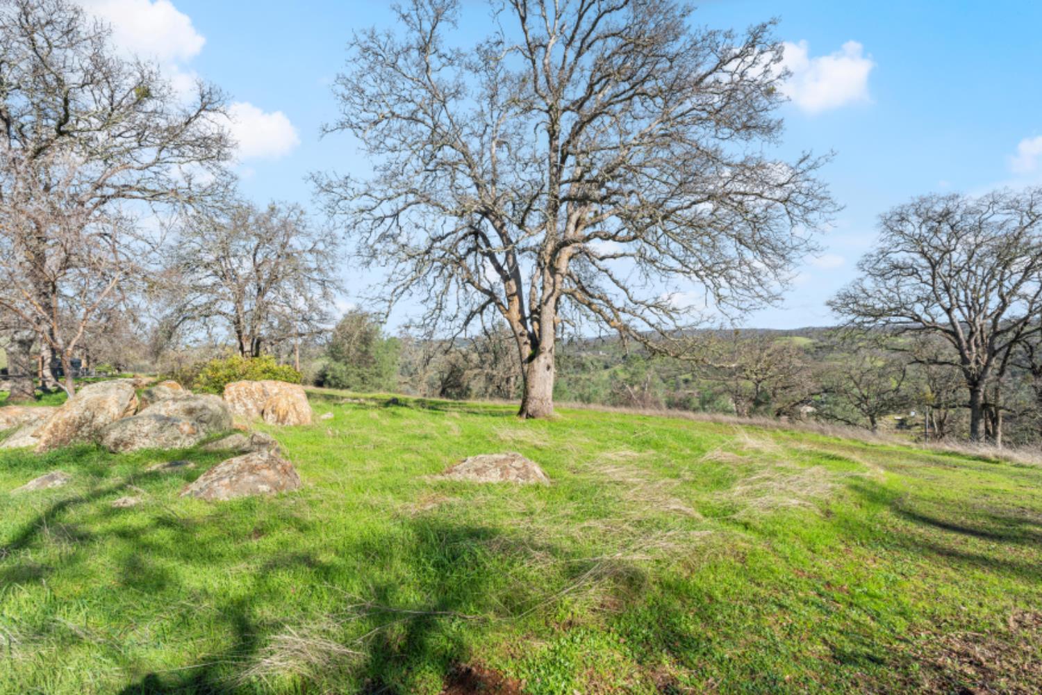 8251 Buffalo Ridge Road Ione, CA 95640 - Photo 69 of 75 a backyard of a house with lots of green space and fountain