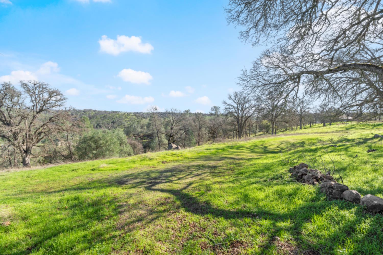8251 Buffalo Ridge Road Ione, CA 95640 - Photo 70 of 75 a view of a field with an trees