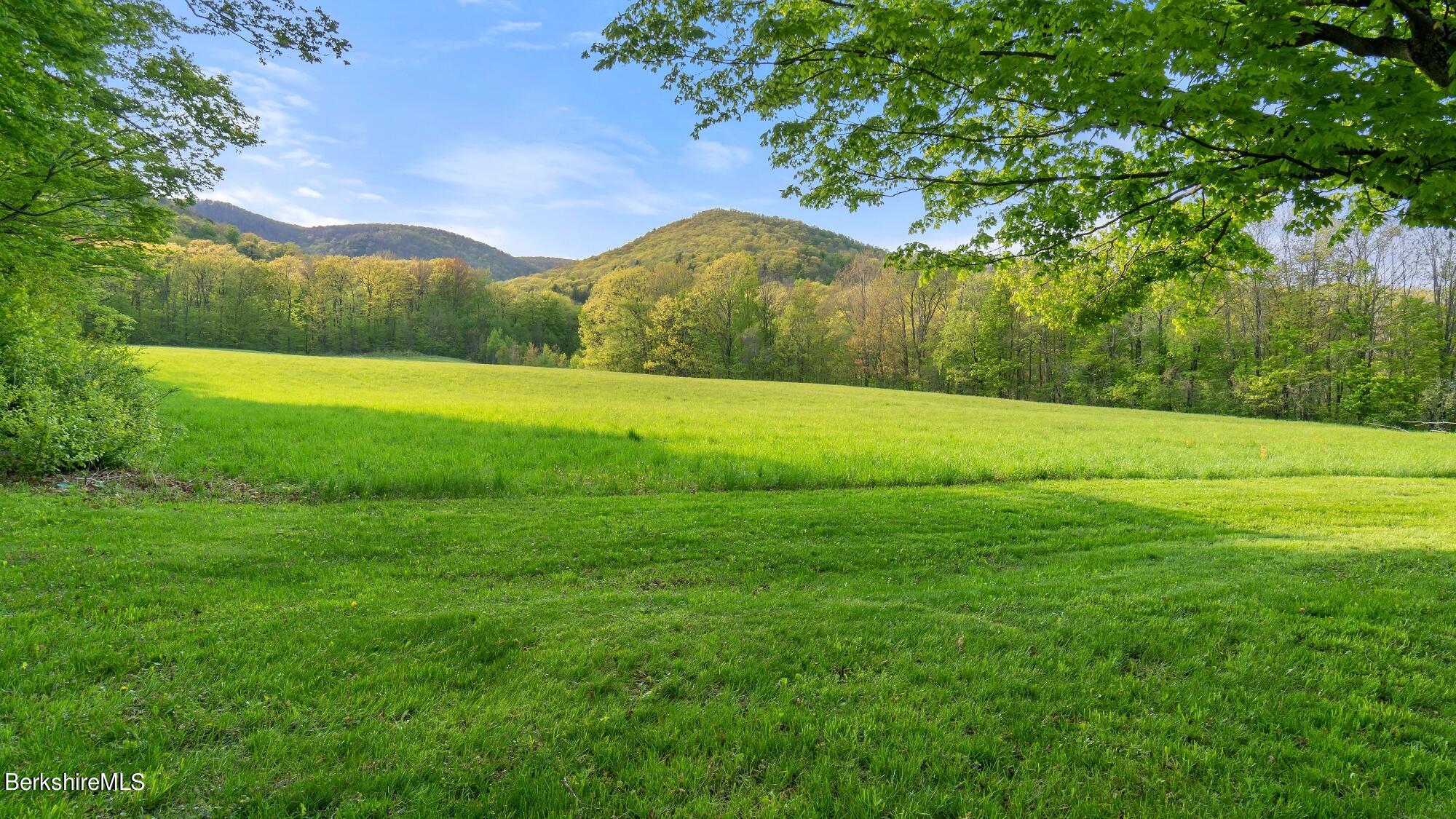 2325 Hancock Road Hancock, MA 01267 - Photo 54 of 61 a view of a field of grass and trees