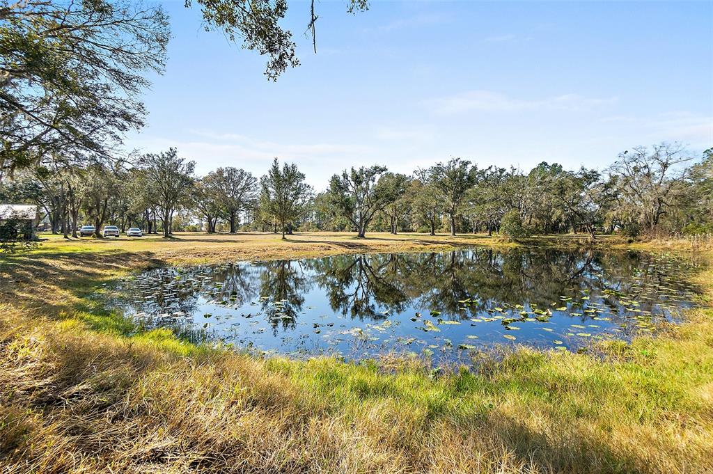 998 County Road 302 Bunnell, FL 32110 - Photo 43 of 47