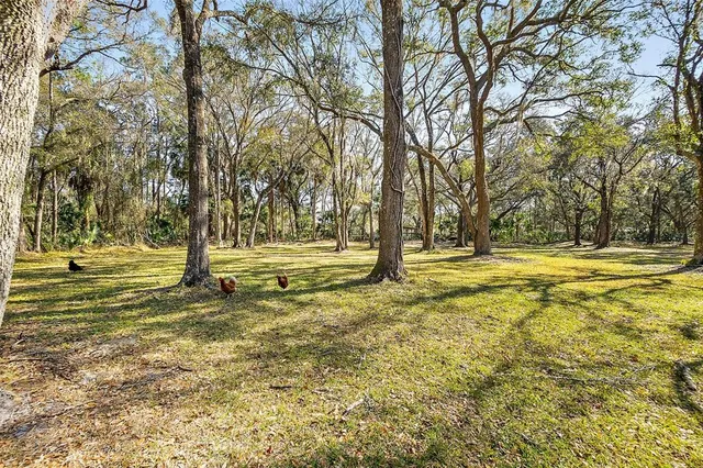 $899,000 | 998 County Road 302, Bunnell, FL 32110