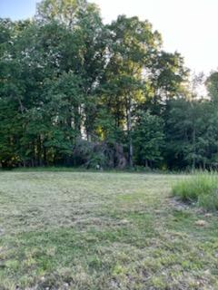 0 McGuire Ridge Road Laurel, IN 47024 - Photo 3 of 6