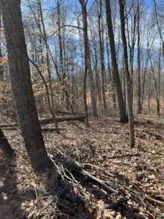 $99,900 | 0 McGuire Ridge Road, Laurel, IN 47024