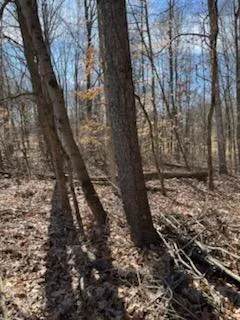 $99,900 | 0 McGuire Ridge Road, Laurel, IN 47024