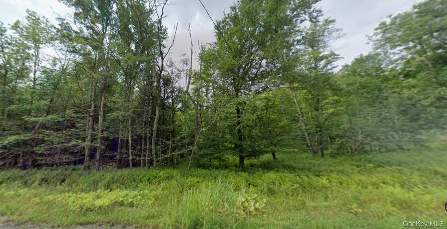 780 Tanzman Road Liberty, NY 12754 - Photo 1 of 1 a view of a garden