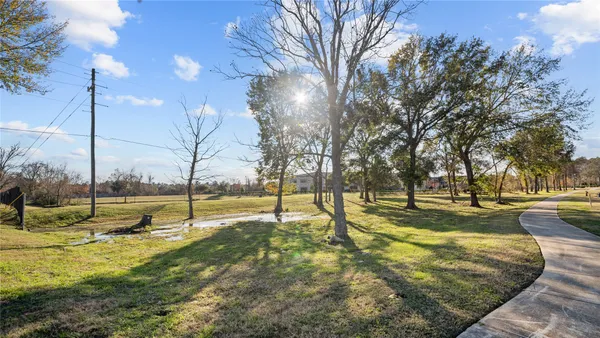 a view of yard with tree