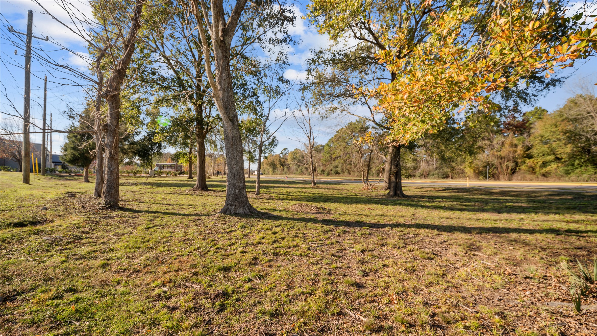 0 South Cherry Street Tomball, TX 77375 - Photo 15 of 15 a view of yard with tree