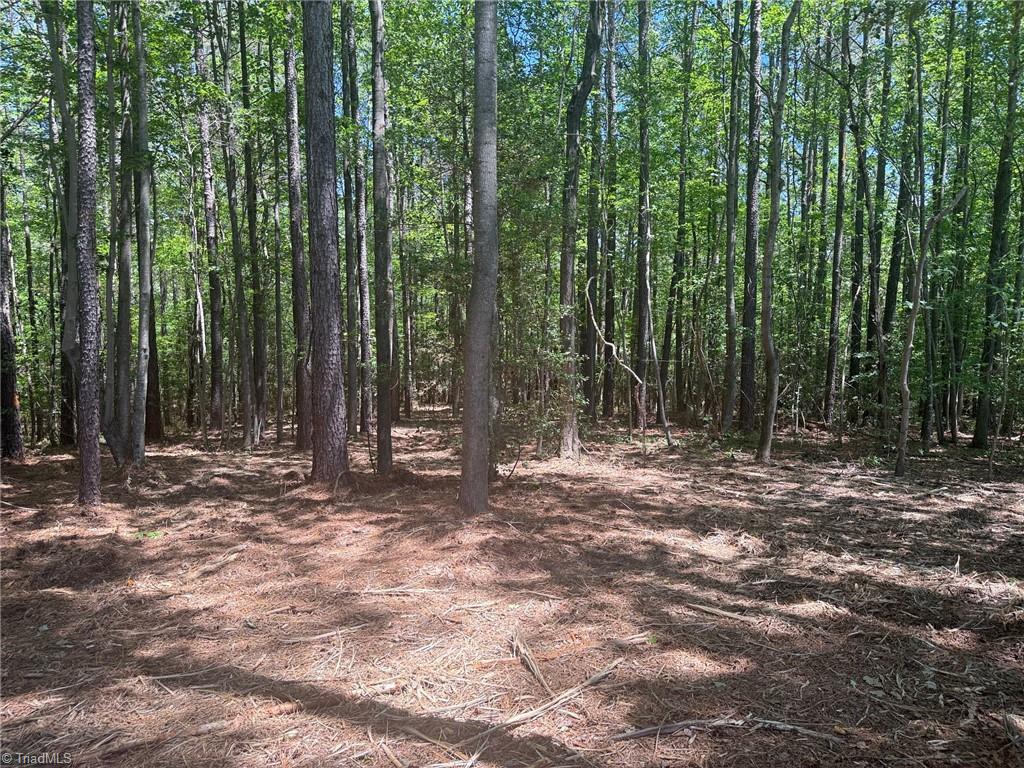 Lot 15 Willie Road Seagrove, NC 27341 - Photo 3 of 5