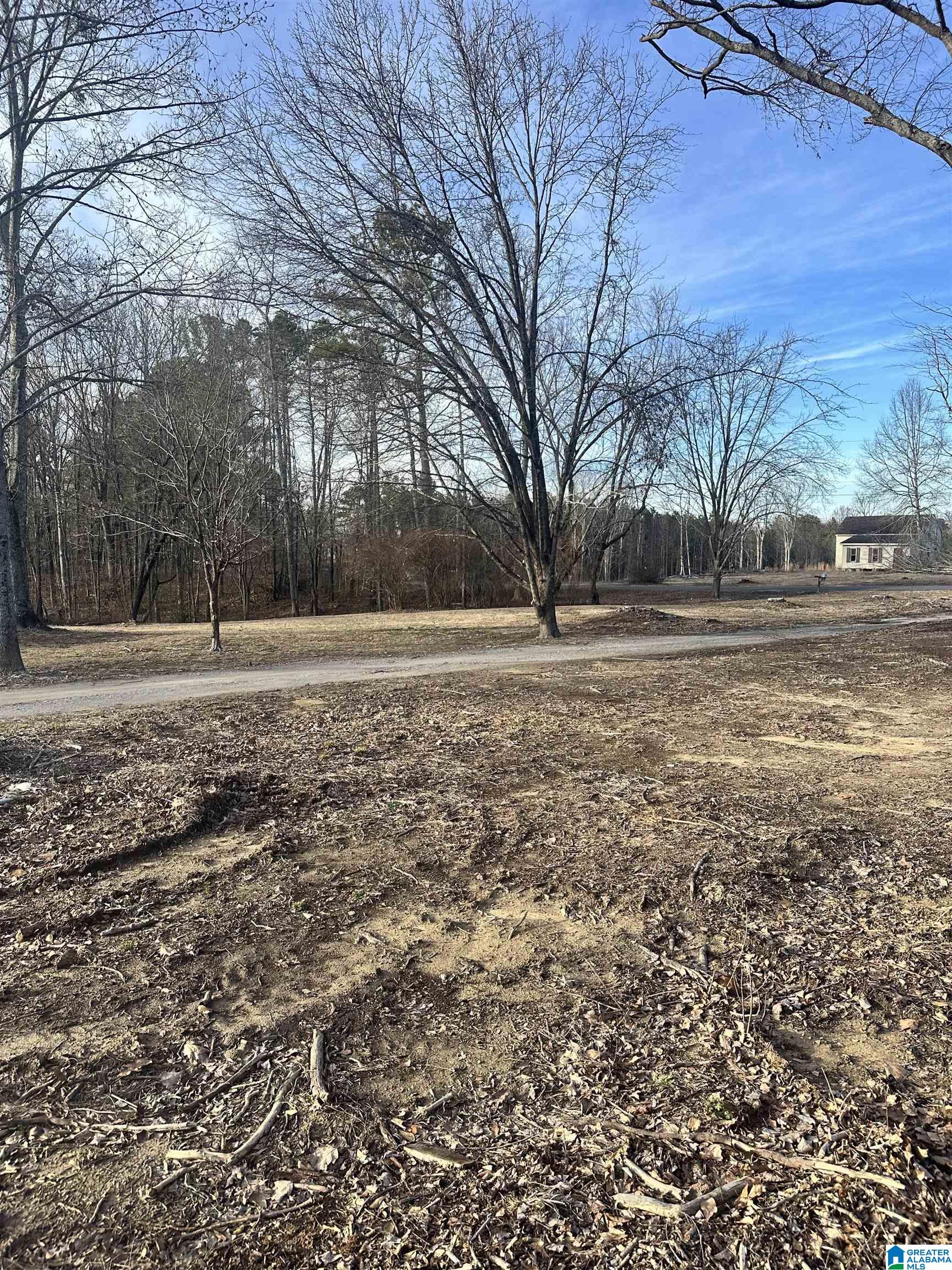 500 Haynes Road Altoona, AL 35952 - Photo 35 of 50