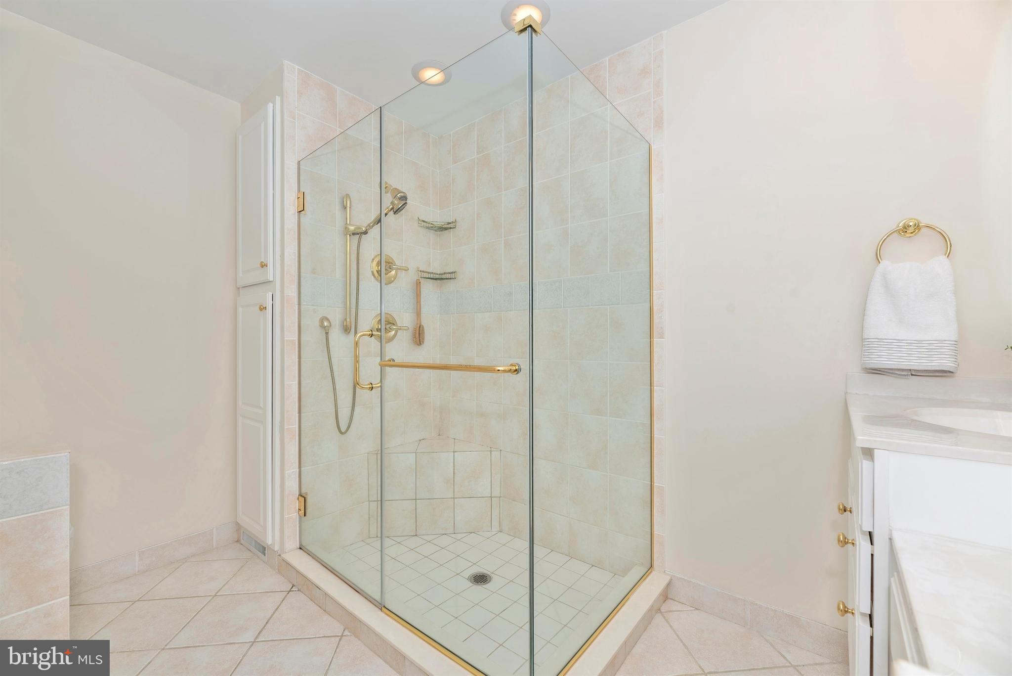13433 Wilt Store Road Leesburg, VA 20176 - Photo 18 of 38 Custom Shower