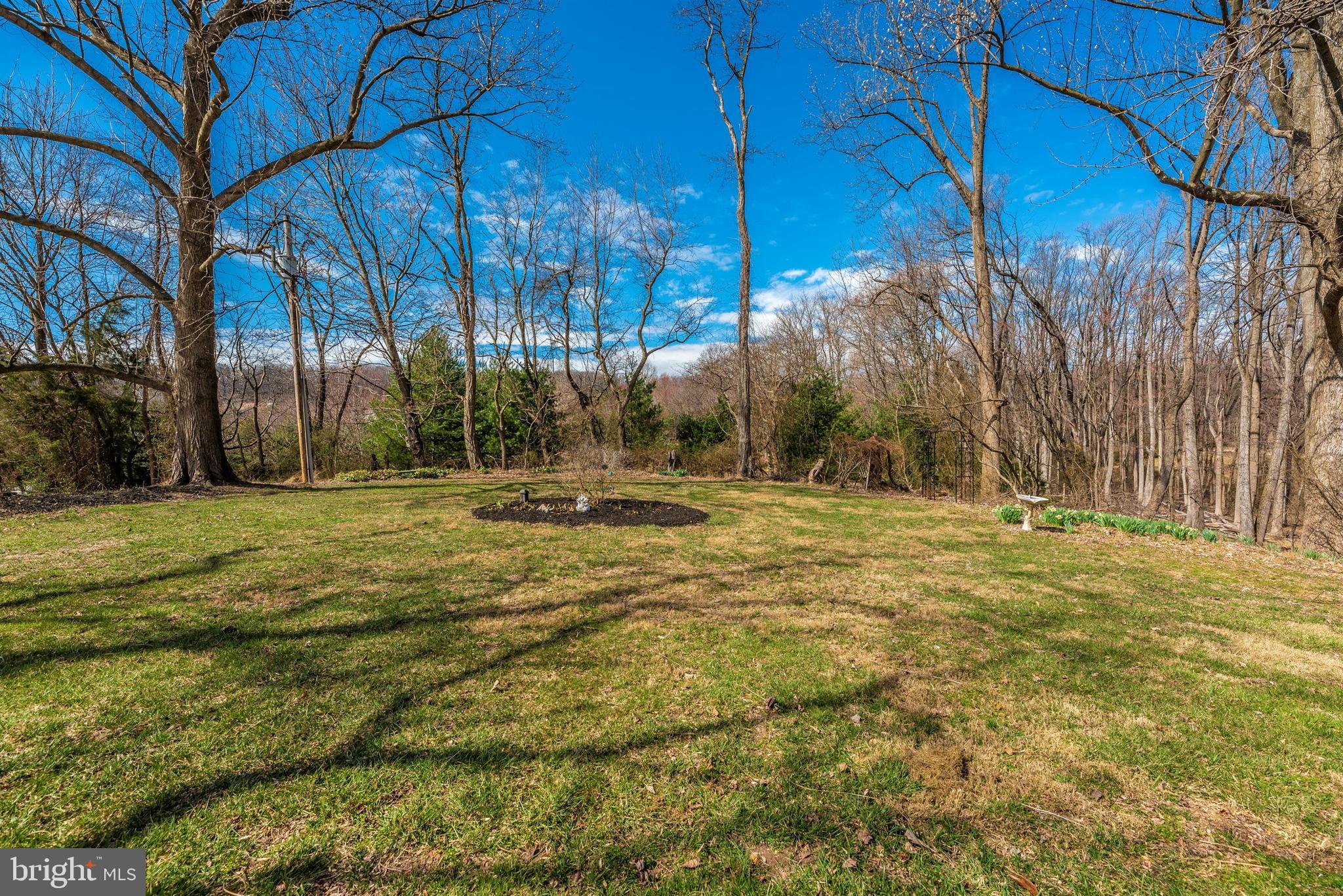 13433 Wilt Store Road Leesburg, VA 20176 - Photo 36 of 38 Wooded Lot for Privacy!