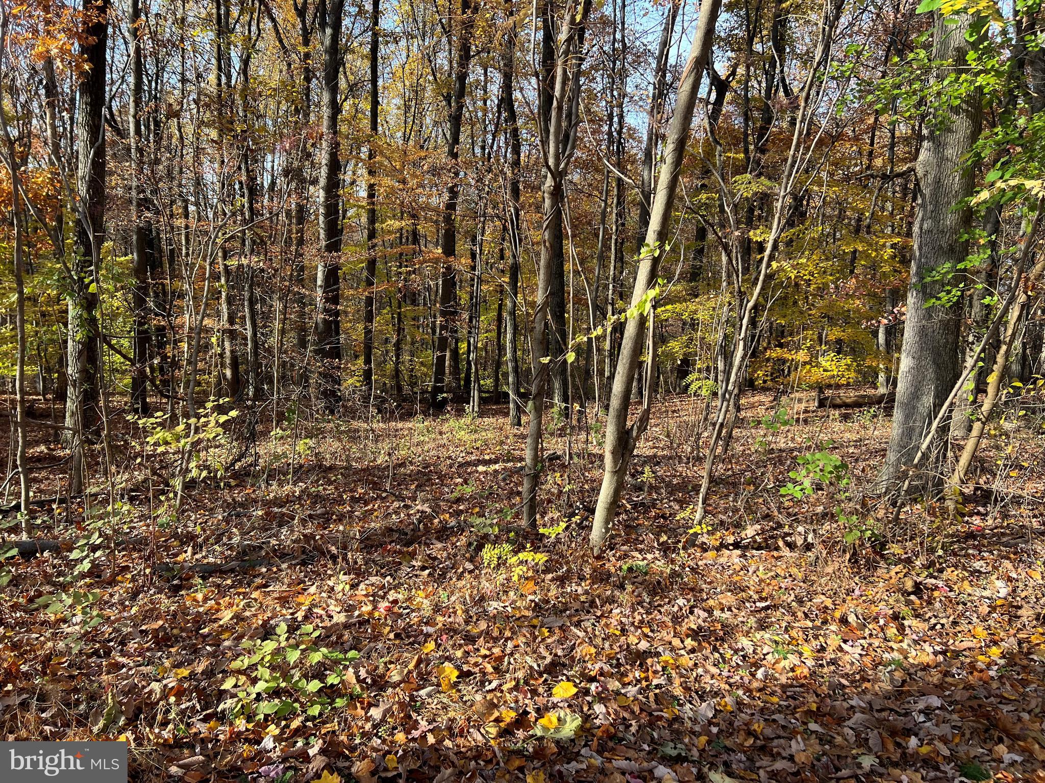 0 North Hill Church Road Hummelstown, PA 17036 - Photo 2 of 3 a view of yard