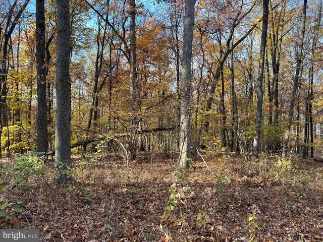 a big yard with lots of green space and plants