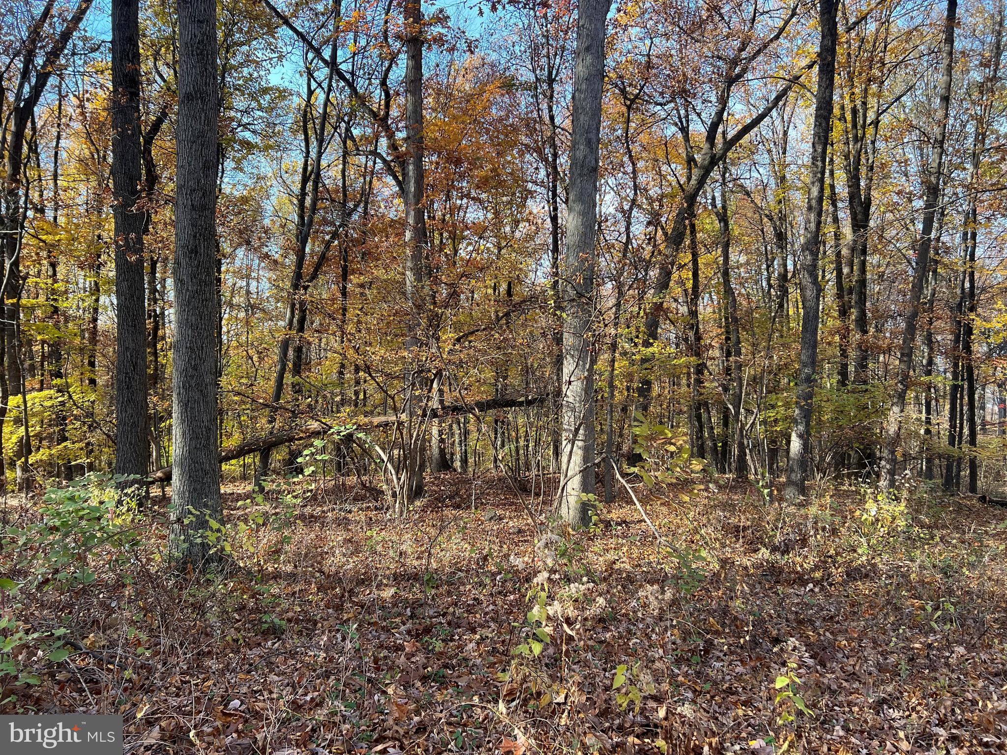 0 North Hill Church Road Hummelstown, PA 17036 - Photo 3 of 3 a big yard with lots of green space and plants