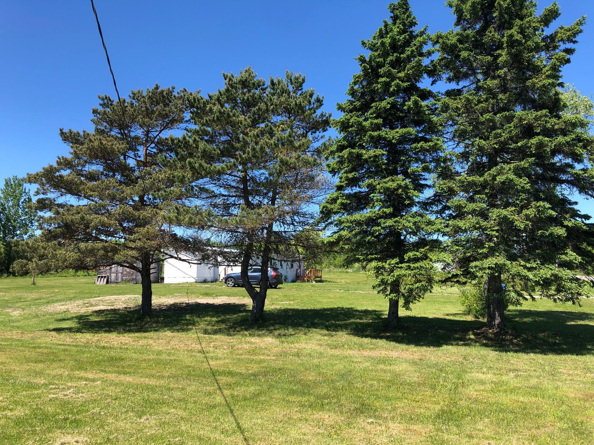 979 Silver Ridge Road Sherman, ME 04776 - Photo 17 of 17 IMG_1852