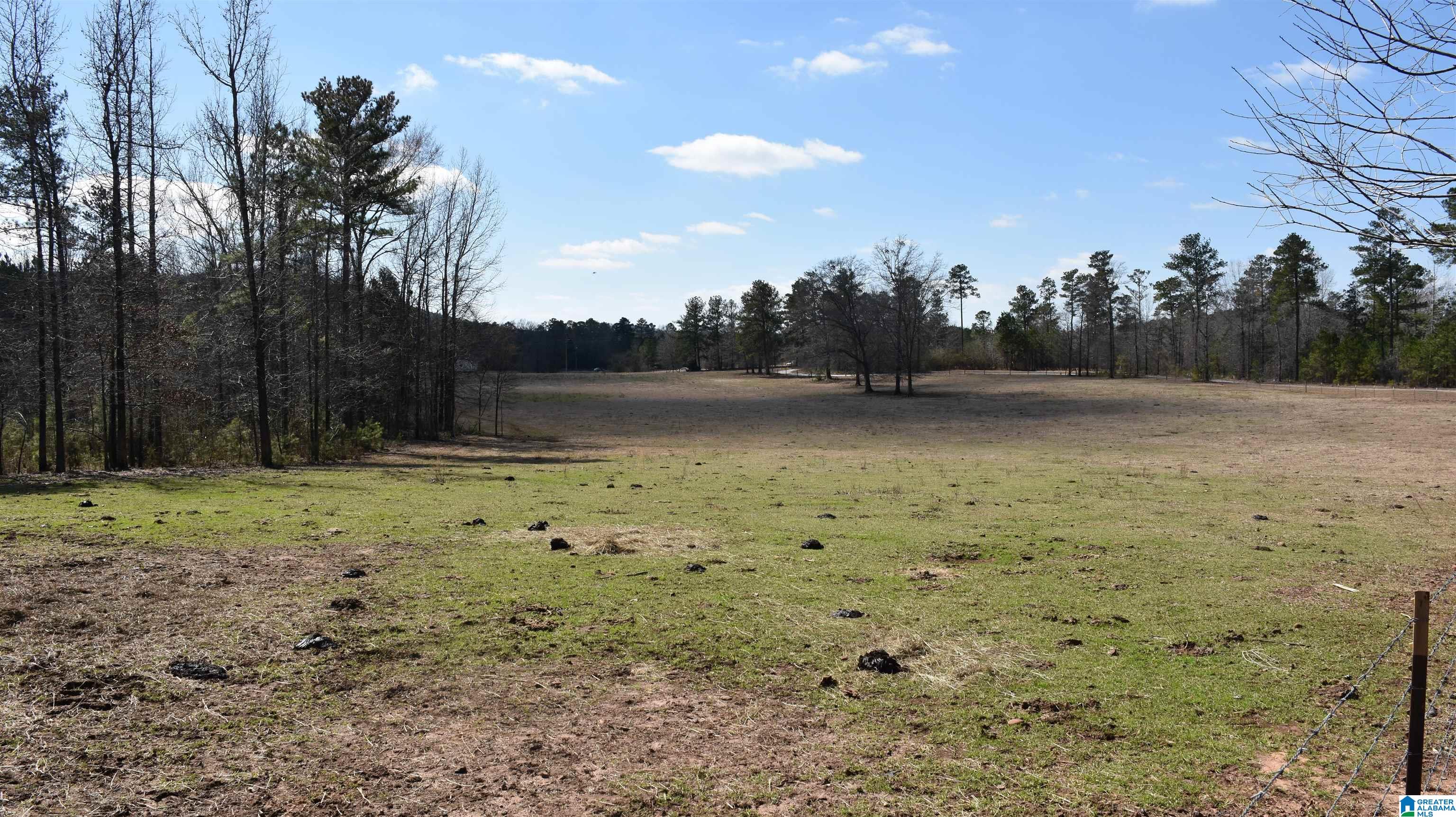2003 New Maryland Road Alpine, AL 35014 - Photo 12 of 38