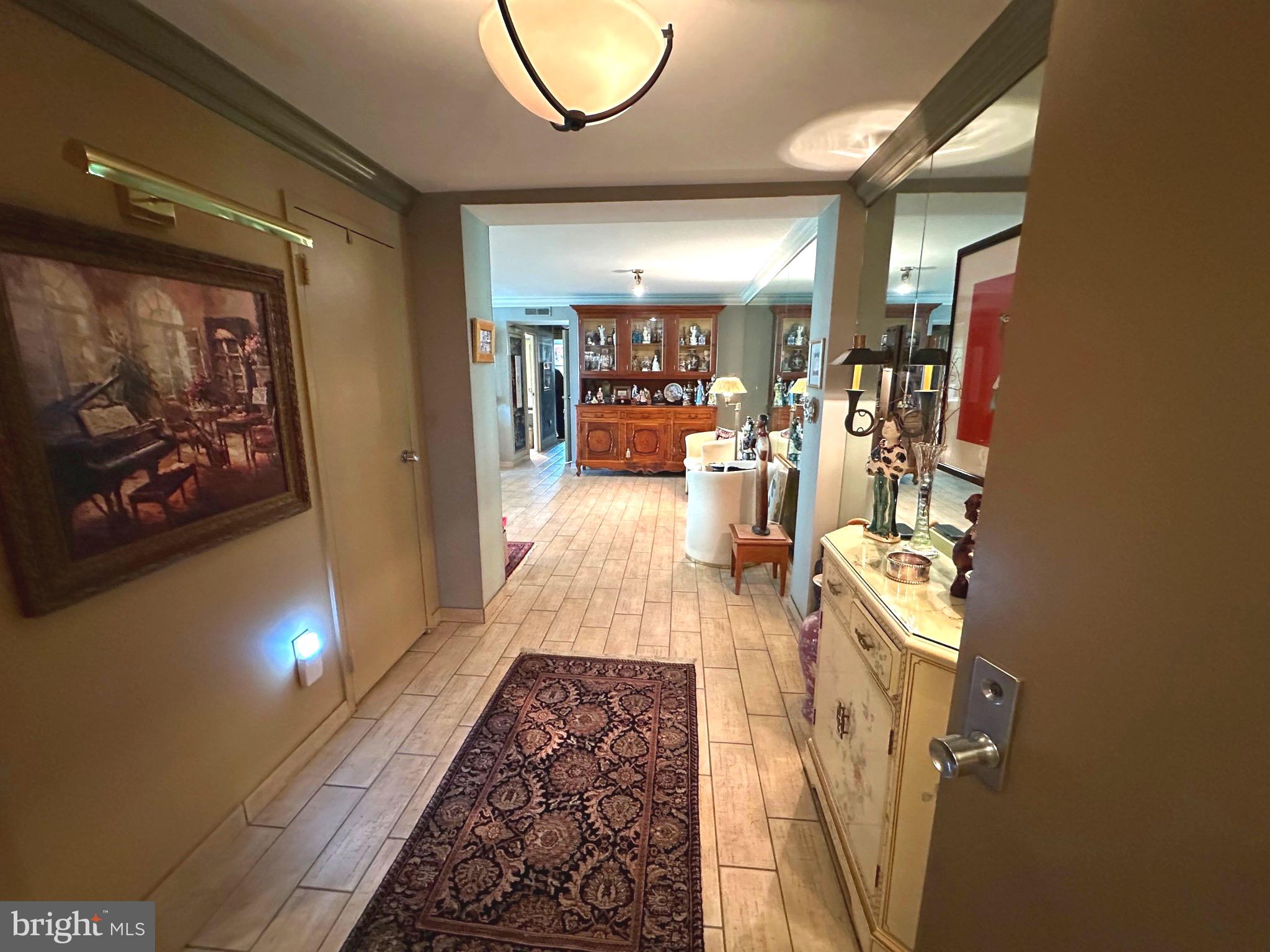 41 Conshohocken State Road, Unit 212 Bala Cynwyd, PA 19004 - Photo 3 of 33 entrance hall