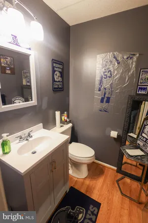 a bathroom with a sink mirror vanity and toilet