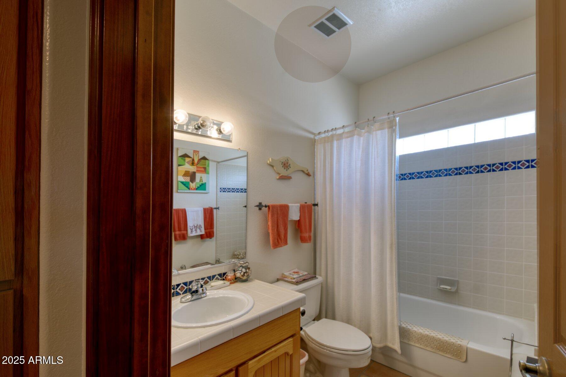 1426 South Foudy Road Bisbee, AZ 85603 - Photo 20 of 60 a bathroom with a sink a toilet and shower