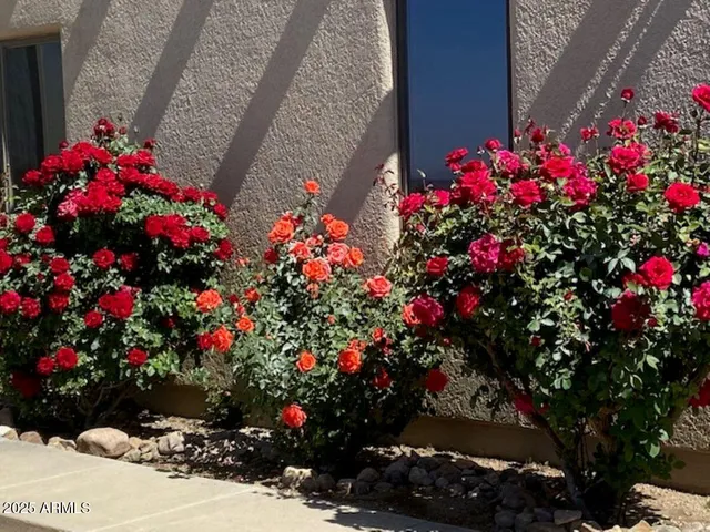 $829,000 | 1426 South Foudy Road, Bisbee, AZ 85603