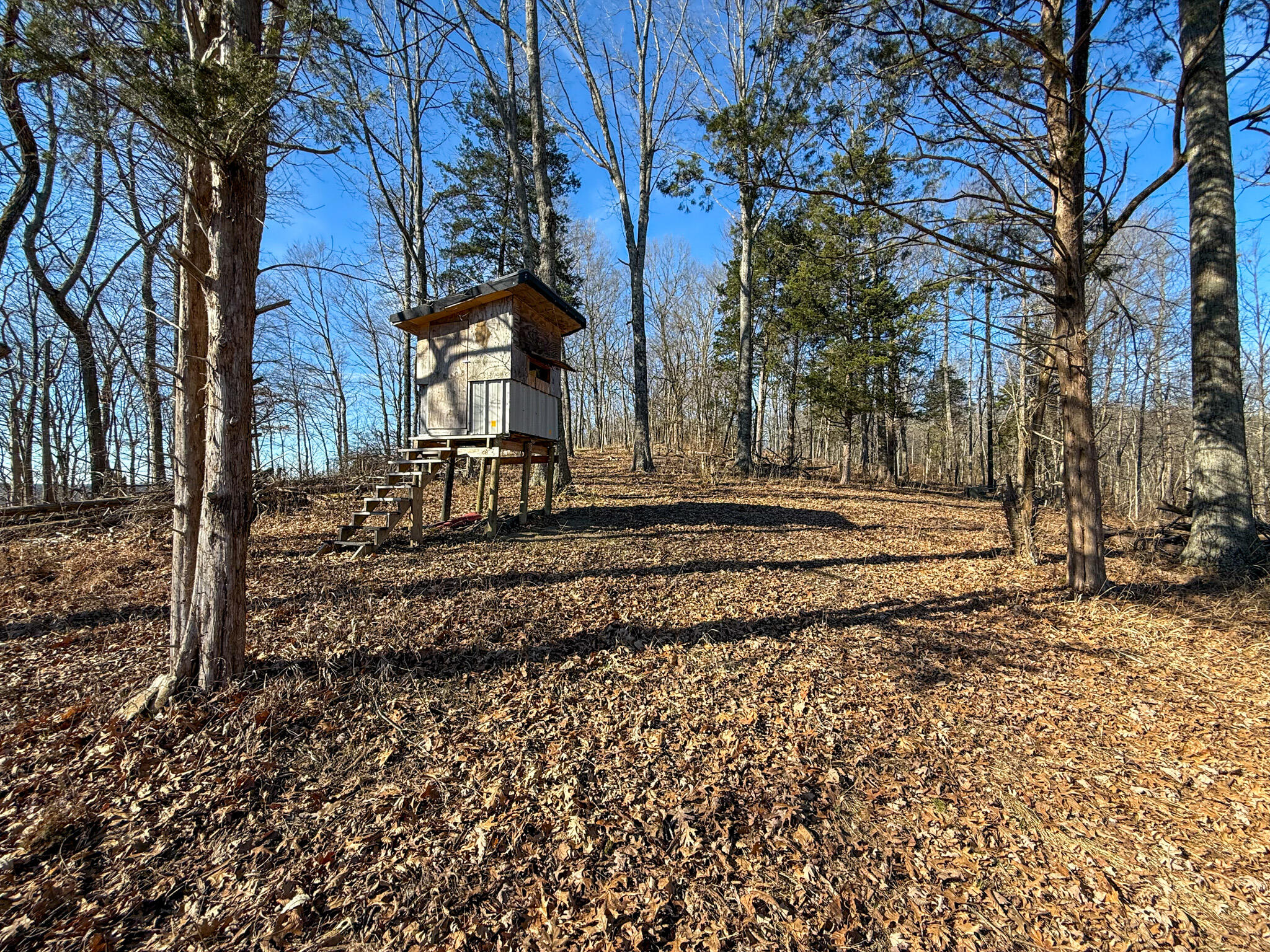 248 Sulphur Lick Road Frankfort, KY 40601 - Photo 42 of 50