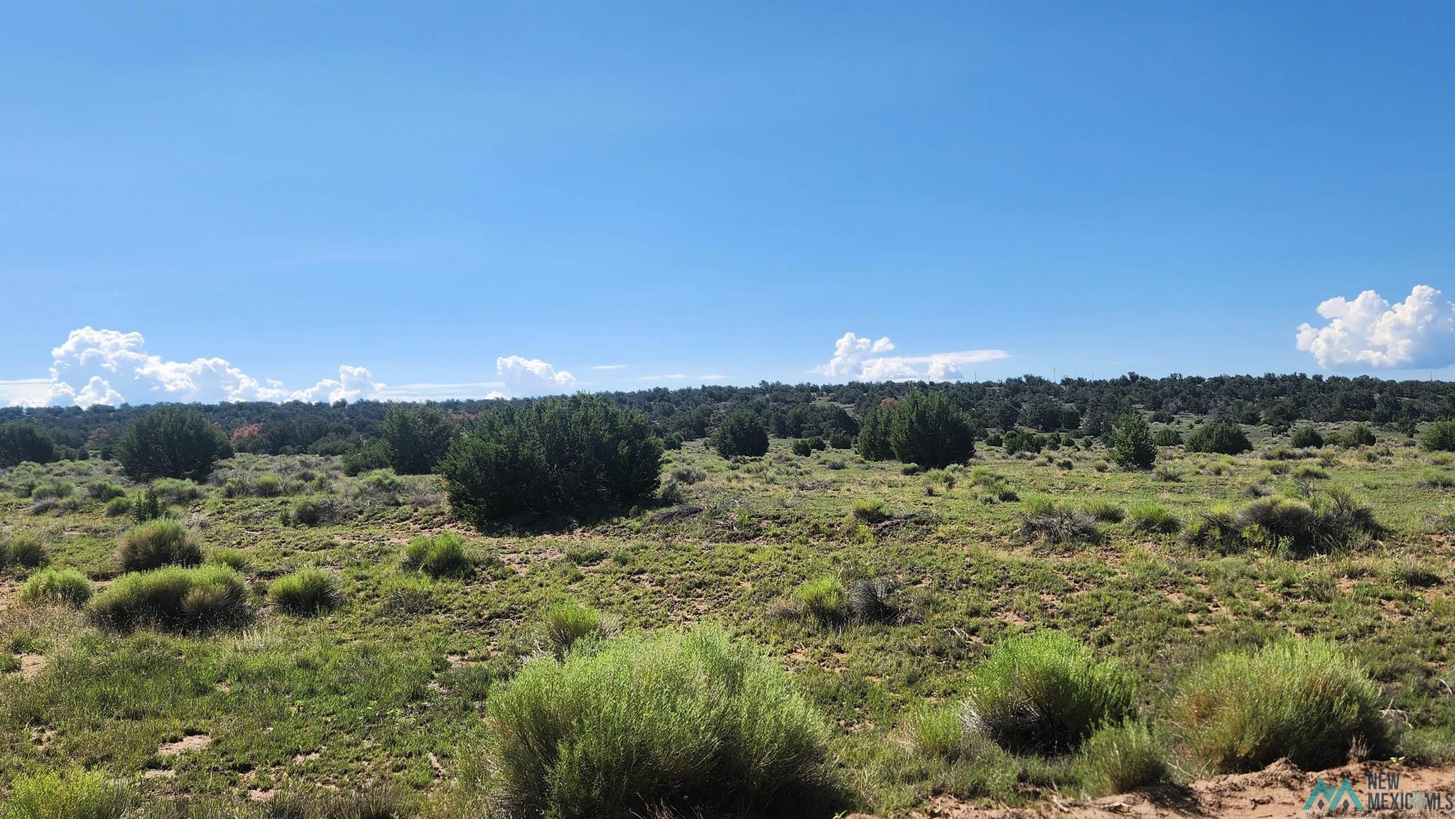 73 Tonto Pass Road Quemado, NM 87829 - Photo 9 of 10 Gallery Image 9