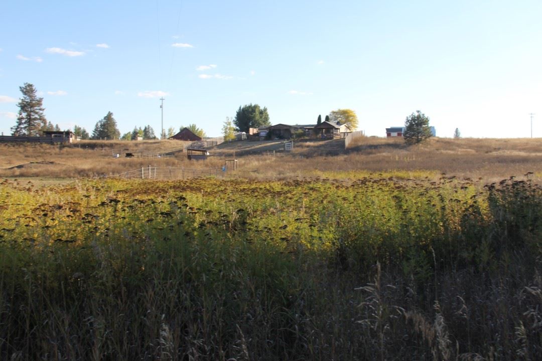 28308 North Monroe Road Deer Park, WA 99006 - Photo 13 of 14
