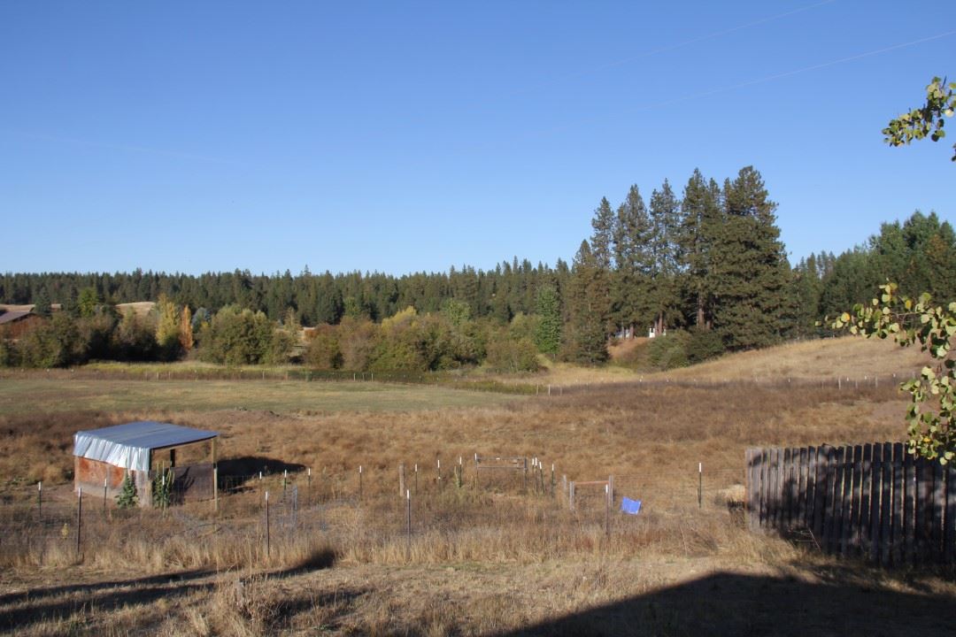 28308 North Monroe Road Deer Park, WA 99006 - Photo 9 of 14