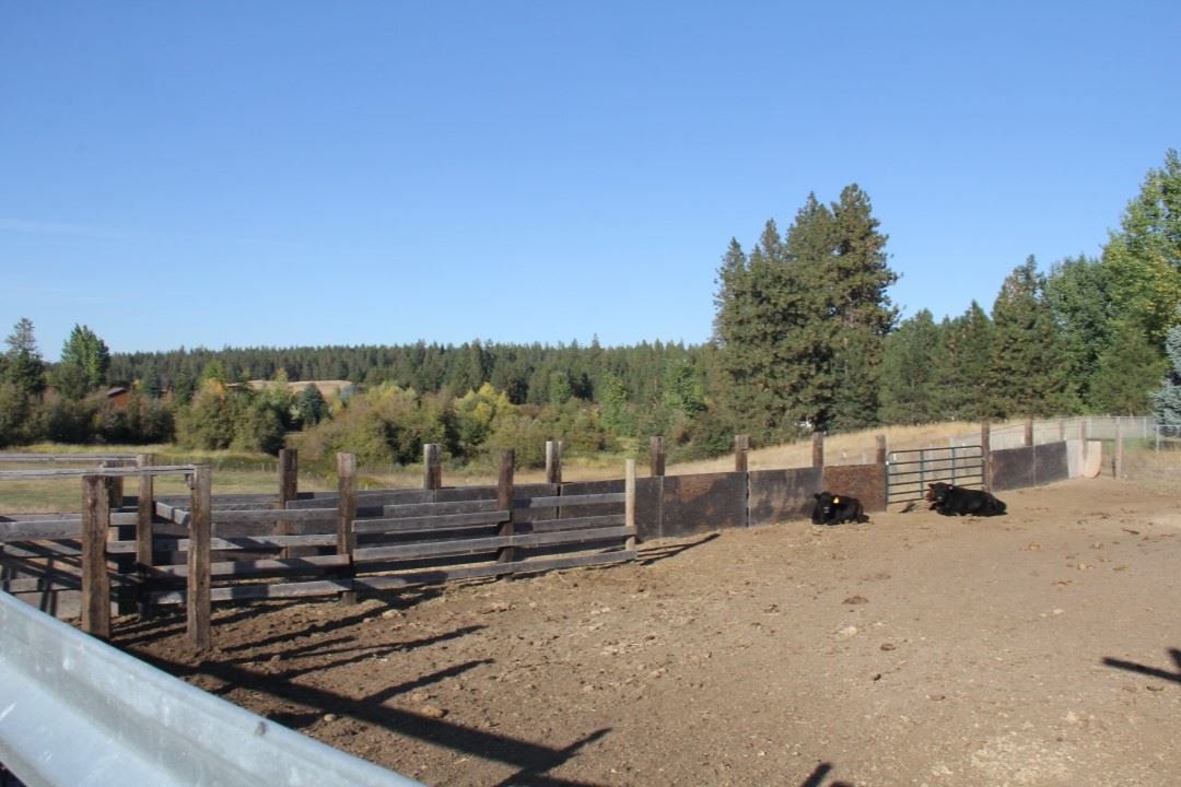 28308 North Monroe Road Deer Park, WA 99006 - Photo 10 of 14
