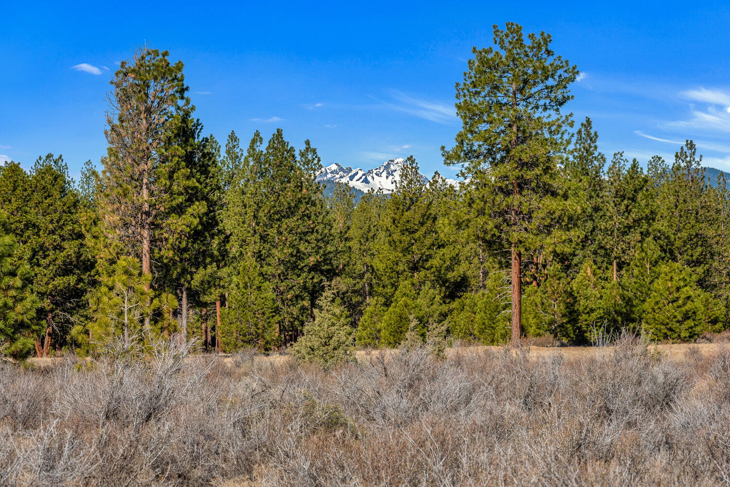 18945 Macalpine Loop Bend, OR 97702 - Photo 10 of 25 OReilly_20240402_7_295827_a_72ppi