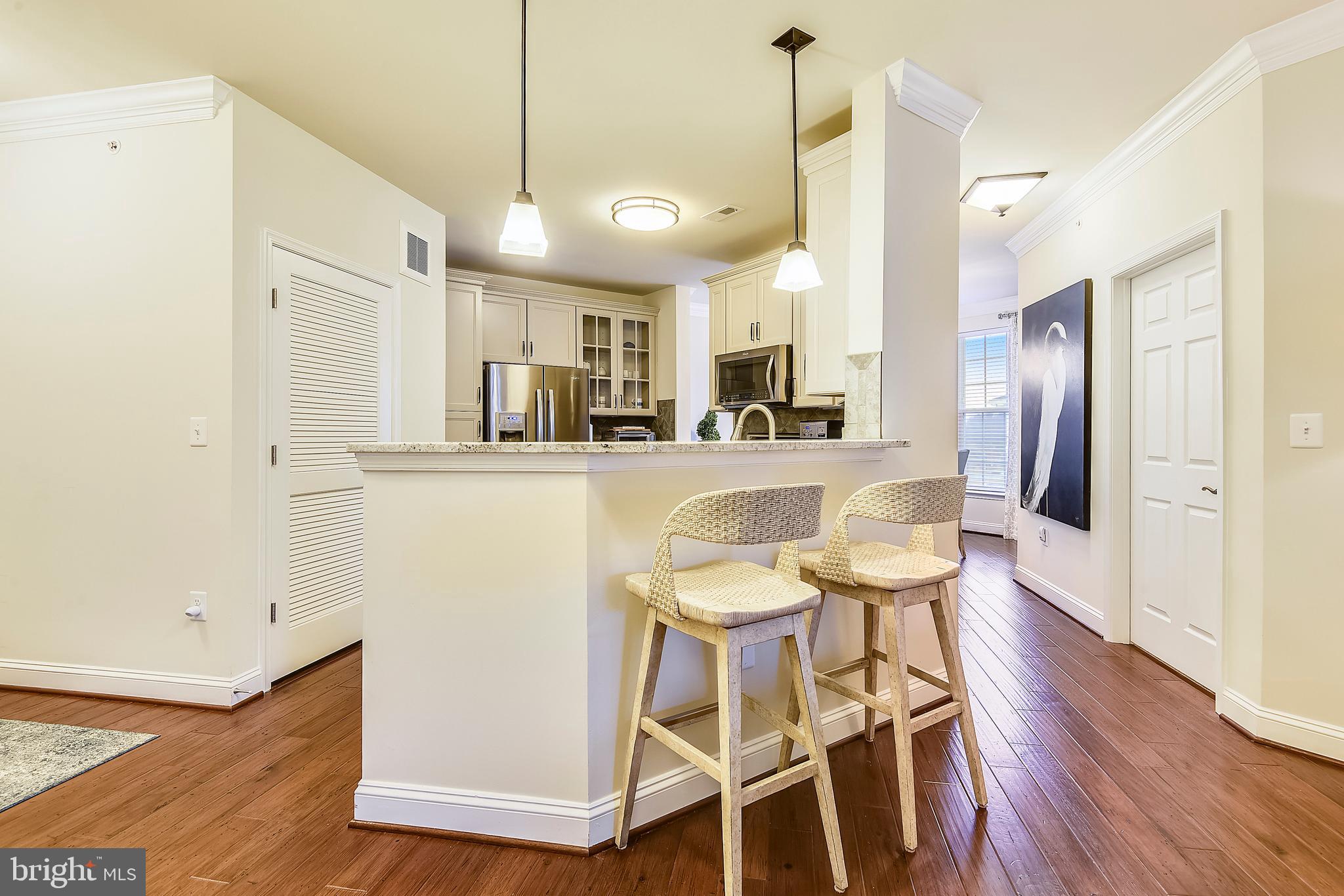 3911 Doc Berlin Drive, Unit 46 Silver Spring, MD 20906 - Photo 9 of 42 Gallery Image 9