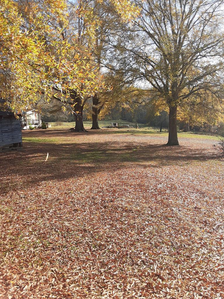 996 Kirby Young Road Dalton, GA 30721 - Photo 39 of 51 Gallery Image 39