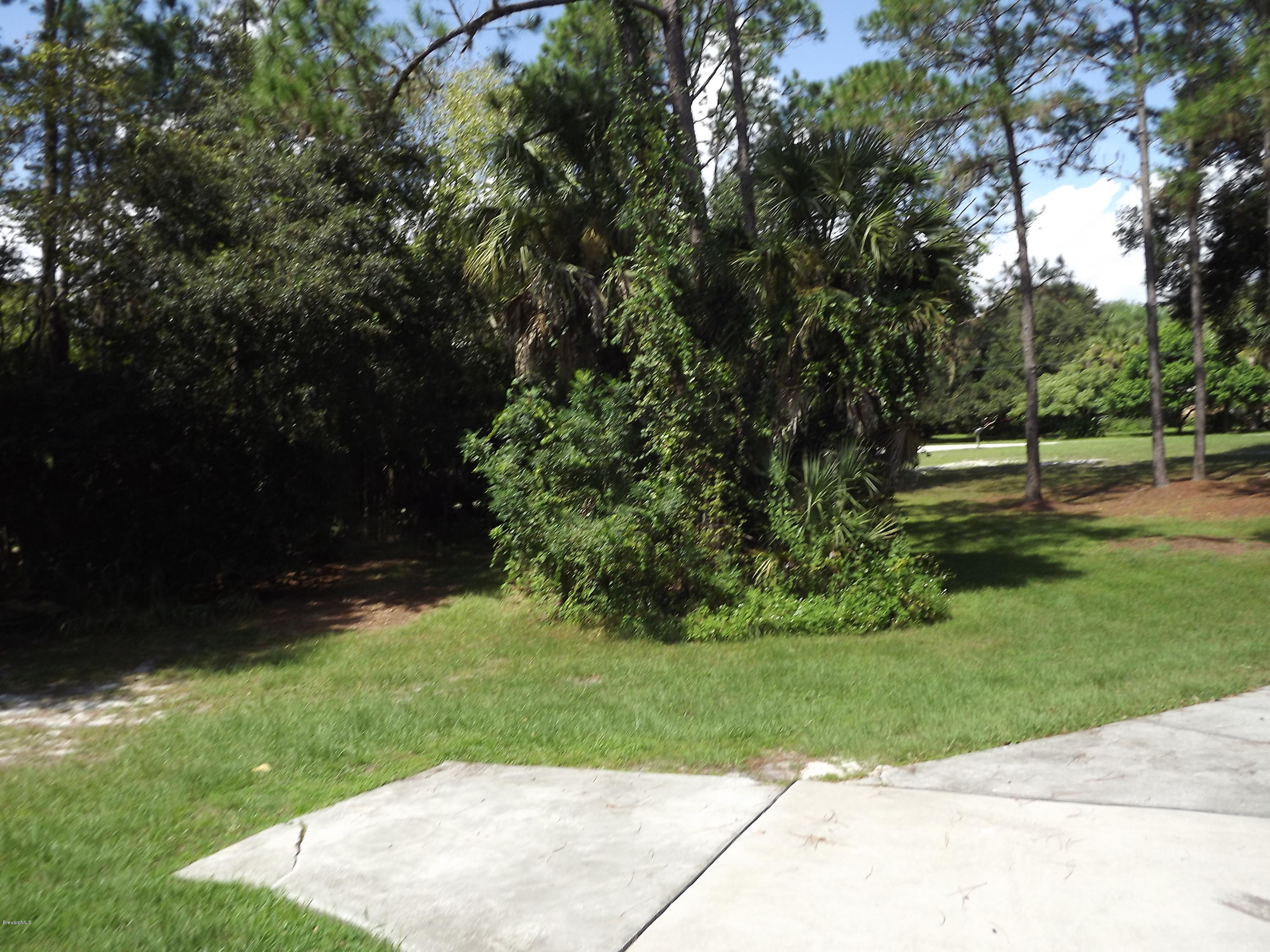 2241 Canal Ridge Drive Titusville, FL 32780 - Photo 33 of 39 Front Side Yard