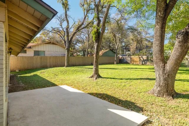 a view of backyard with tree