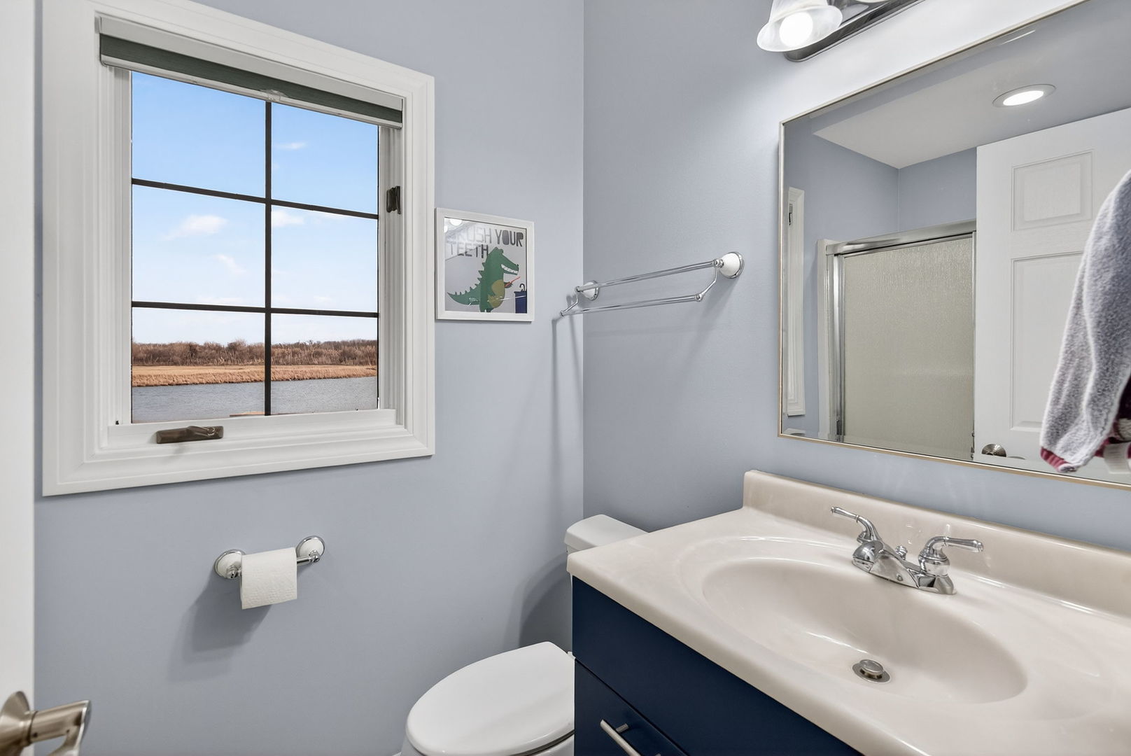 2804 Ninovan Lane Minooka, IL 60447 - Photo 40 of 67 a bathroom with a sink mirror and toilet