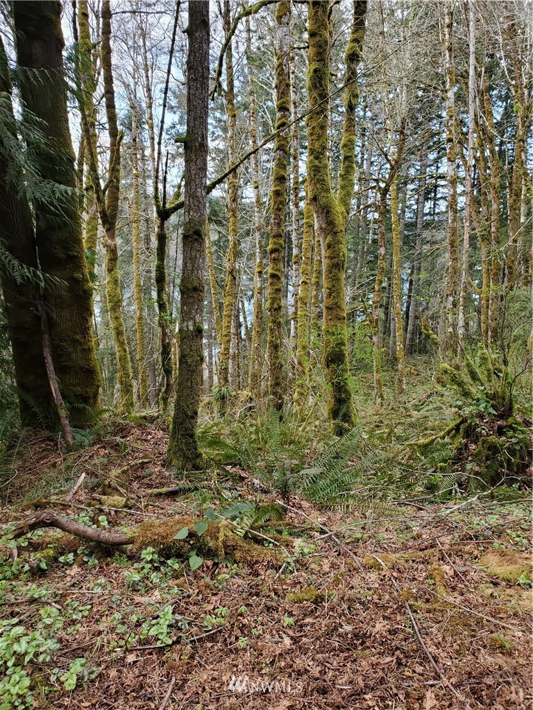 1133 Turkey Road Northwest Olympia, WA 98502 - Photo 1 of 6 Gallery Image 1