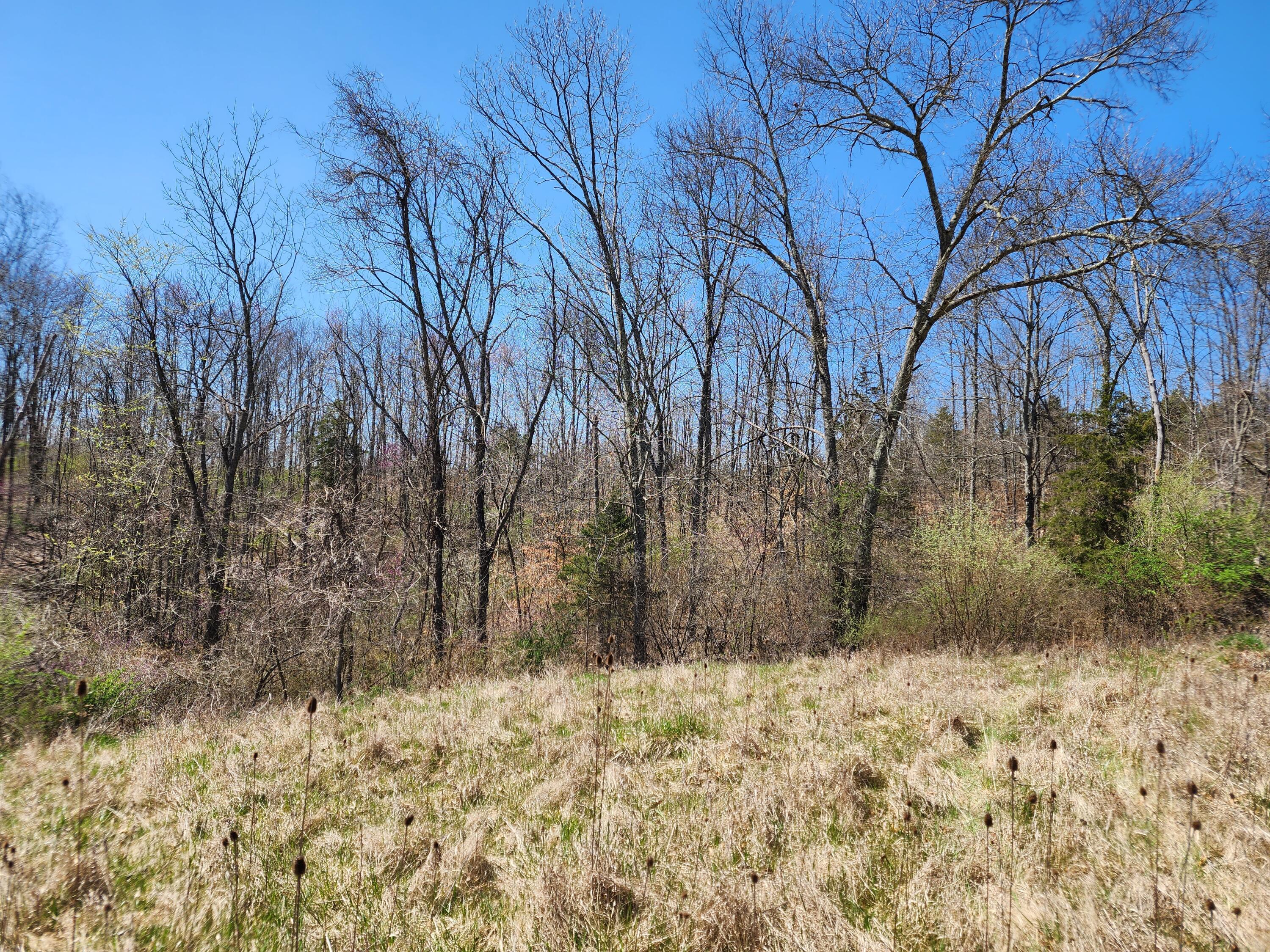 0 Halleys Ridge Road Caldwell, OH 43724 - Photo 17 of 69 20230411_131856