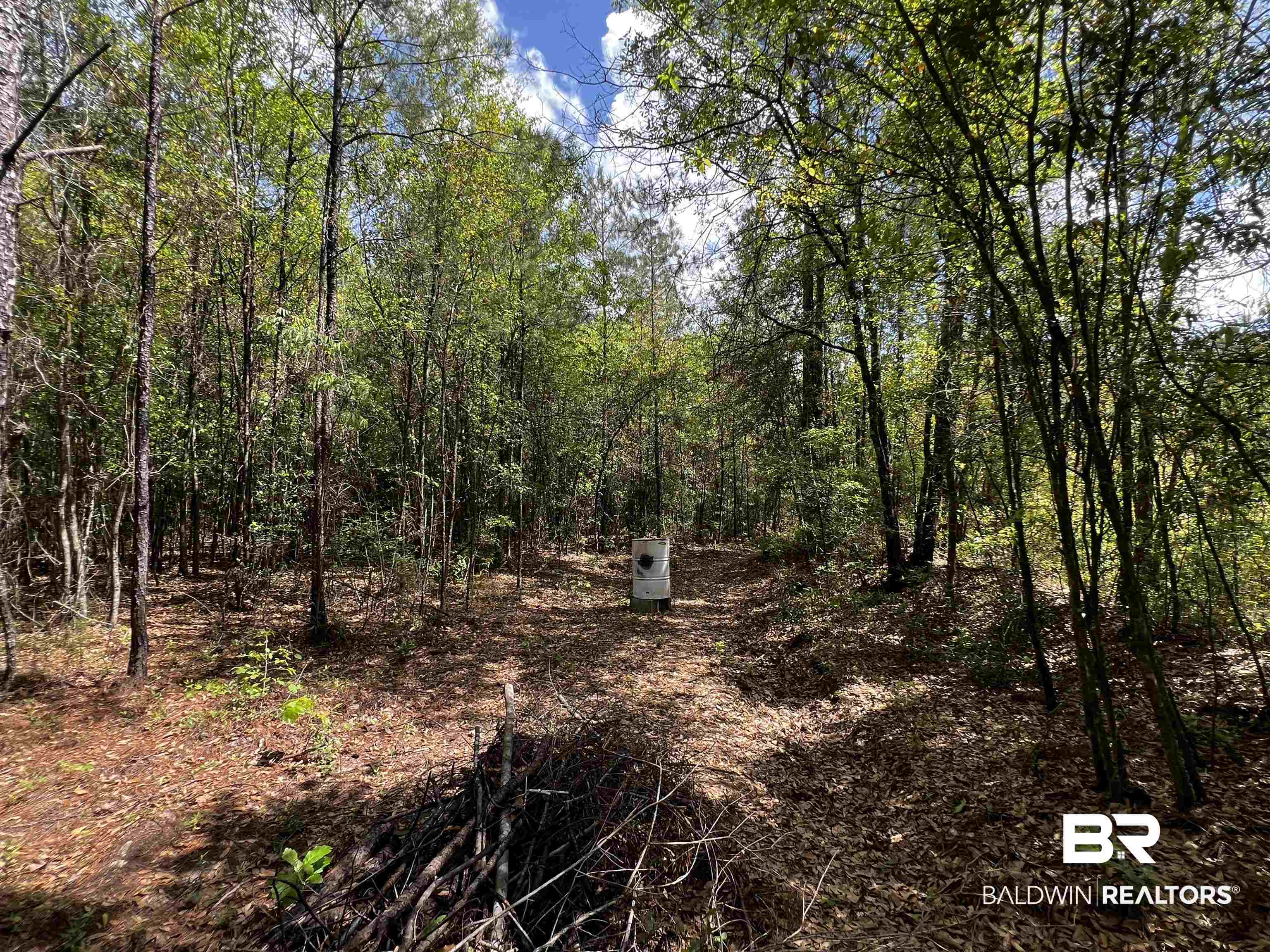 0 Salco Road Axis, AL 36505 - Photo 22 of 24 View of local wilderness