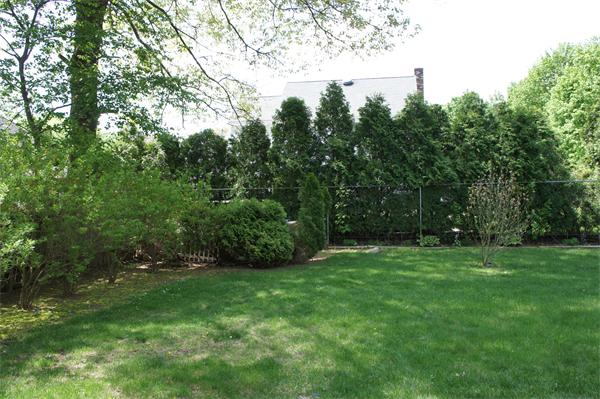 19 Edith Road Weymouth, MA 02189 - Photo 17 of 19 a view of a grassy field with trees in the background