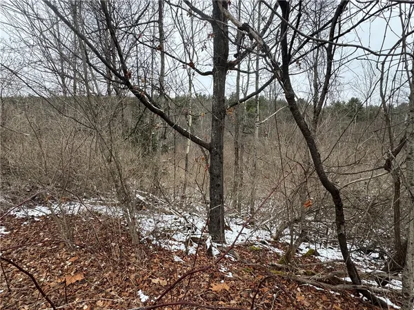 $49,900 | 186 Diamond Valley Road, Tioga, NY 13734