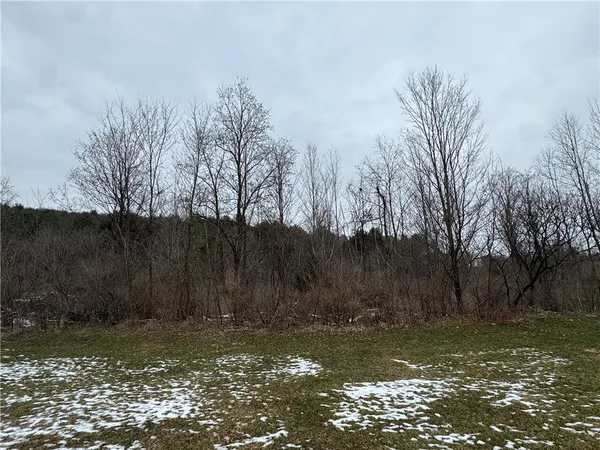 $49,900 | 186 Diamond Valley Road, Tioga, NY 13734