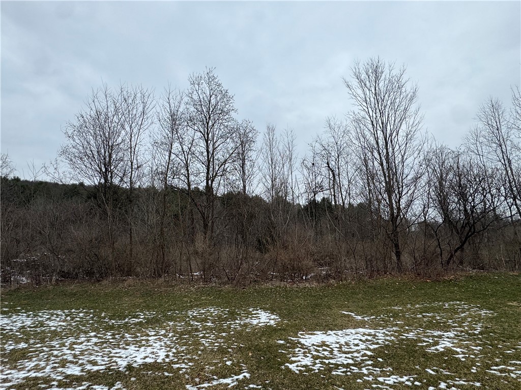 186 Diamond Valley Road Tioga, NY 13734 - Photo 8 of 30 Cleared yard