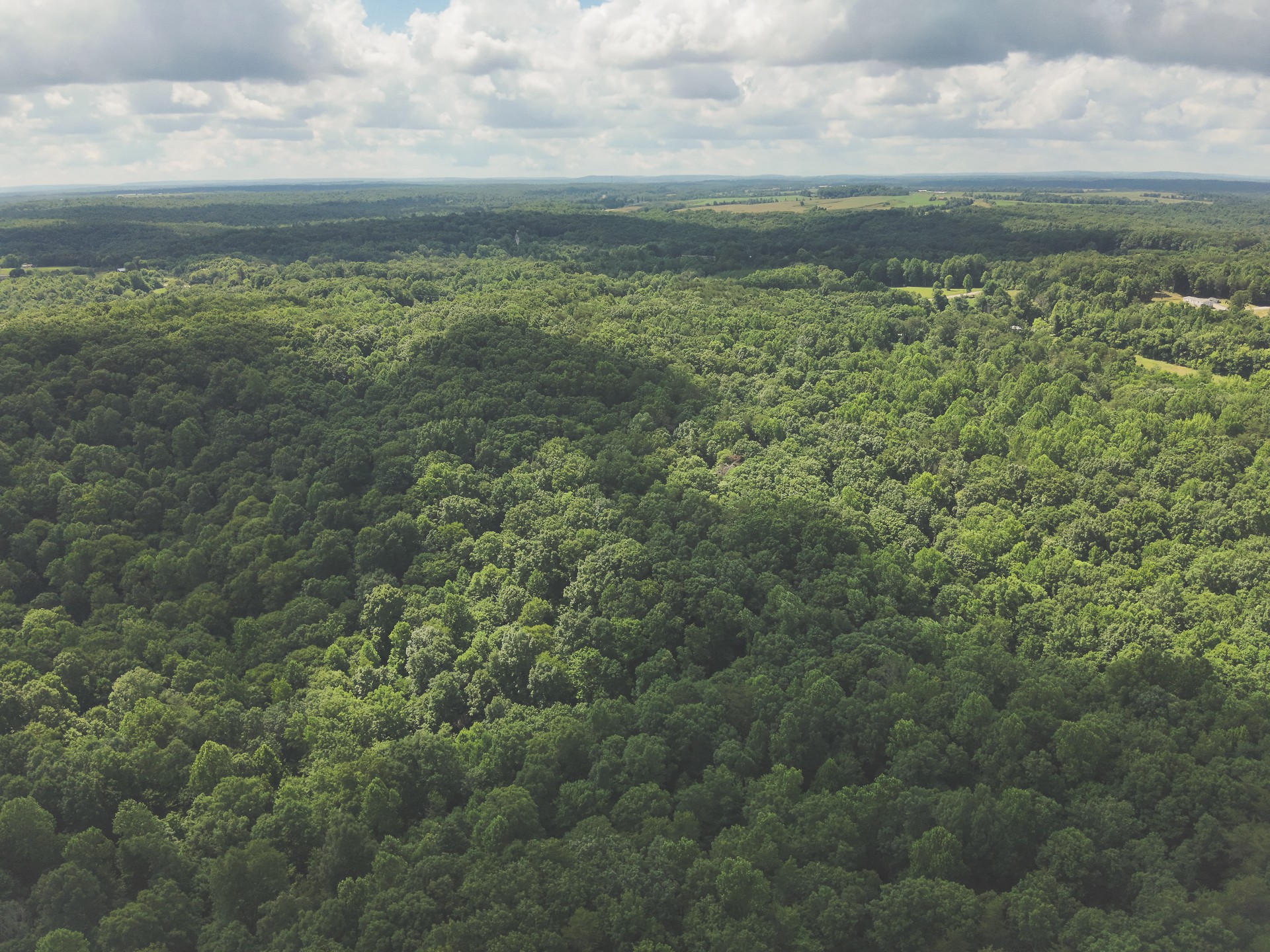 0 Long Fork Creek Road Spencer, TN 38585 - Photo 45 of 45