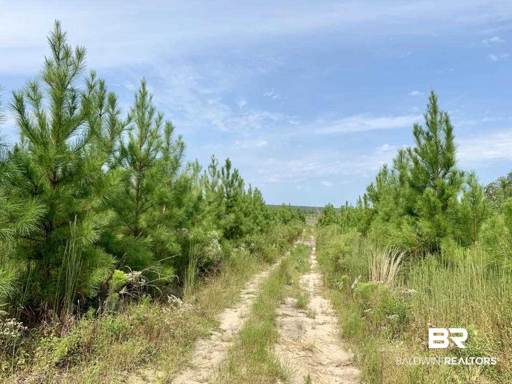 0 Country Road Mobile, AL 36608 - Photo 13 of 27