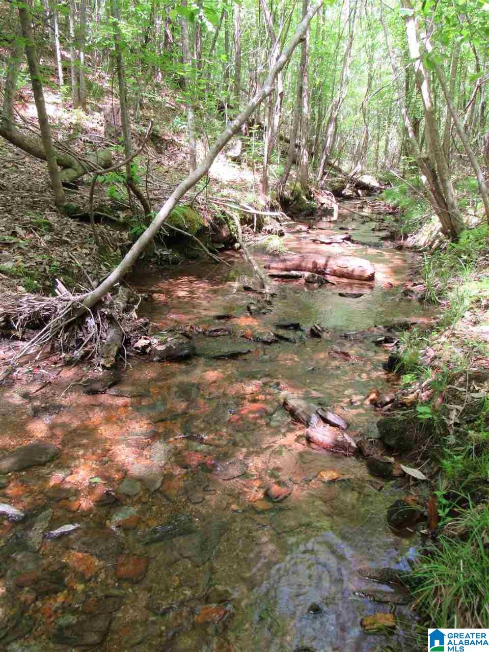 0 County Road 895, Unit 17 ACRES Lineville, AL 36266 - Photo 15 of 30