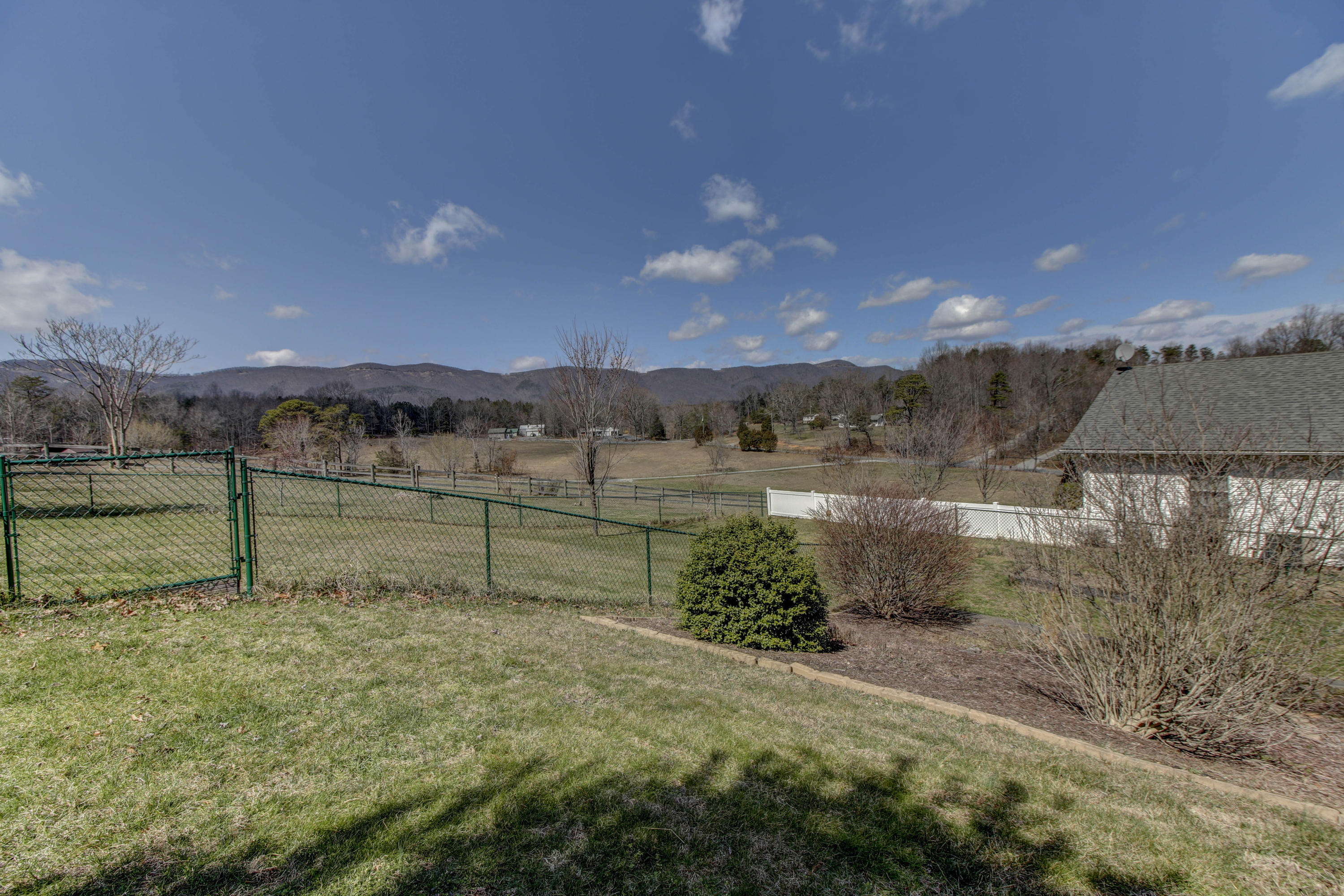 1546 Pike Road Montvale, VA 24122 - Photo 31 of 44 a view of back yard