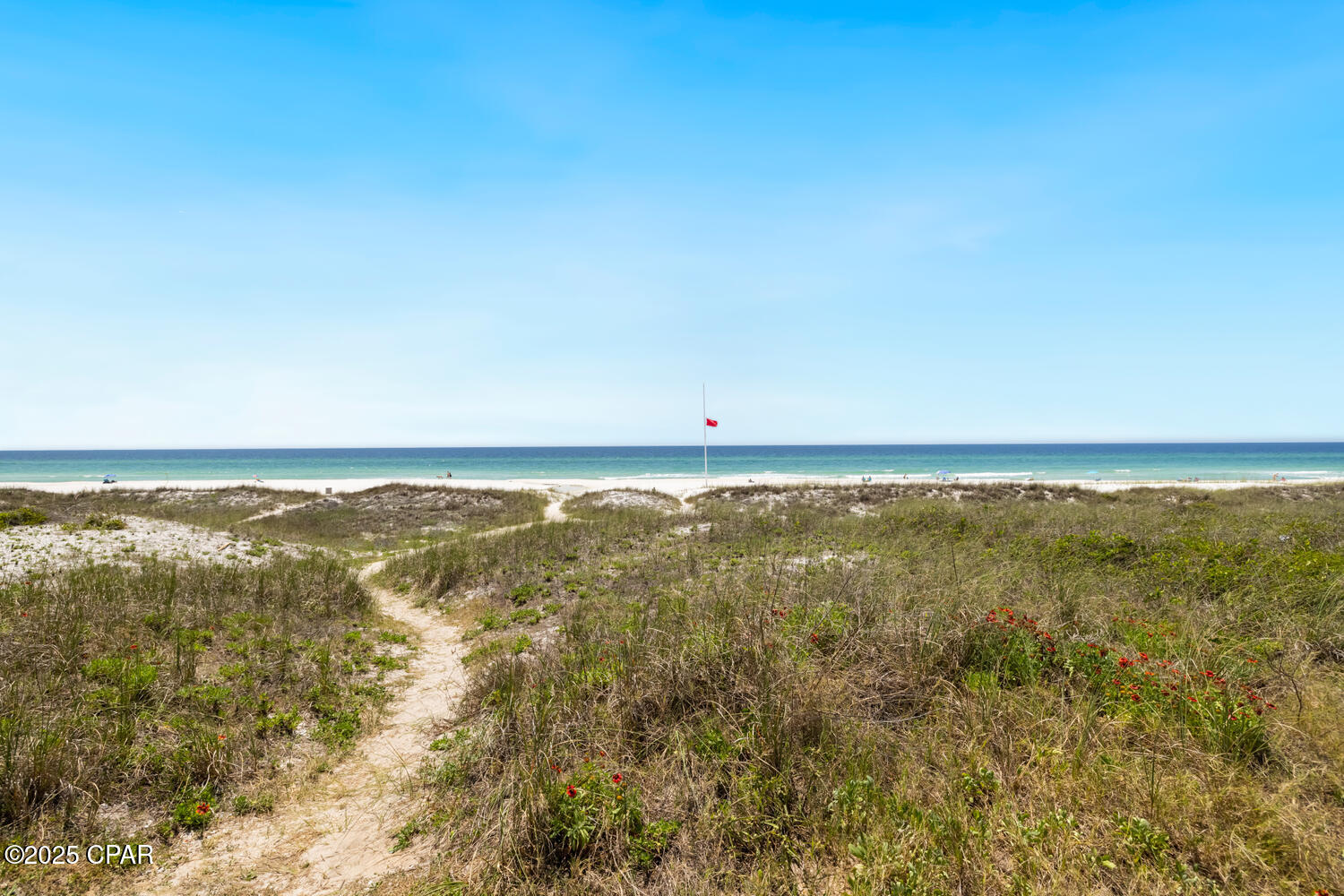 19302 Front Beach Road Panama City, FL 32413 - Photo 16 of 25 Gallery Image 16